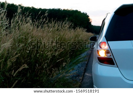 White cloud open turn signal on the beside road with flower grass and forest in evening.