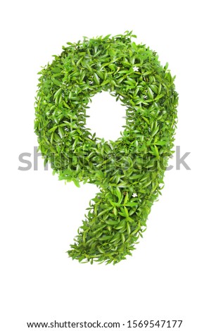 9 number nine. natural green leaves isolated on a white background