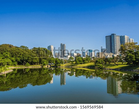 Scenic view of the park with pond in the center of the big city on modern building background.