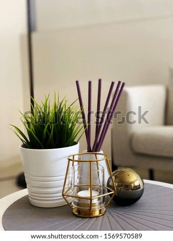 Delicate and modern decoration for a coffee table in the middle of a living room 