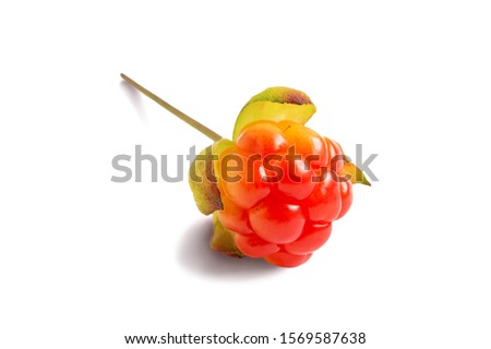 One ripe cloudberry isolated on a white background with clipping paths with shadow and without shadow