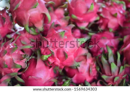 Tropical dragon fruit. Background of fruit on the market