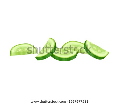 Fresh Sliced Cucumber Vector Element. Green Juiced Vegetable