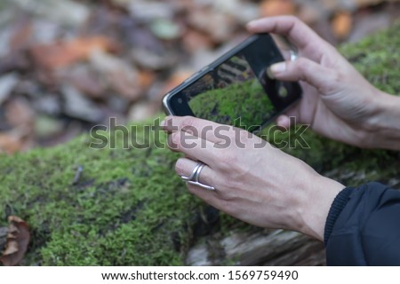 Hands of young woman in city park at autumn times, taking pictures of nature by smart phone in HDR resolution, Belgrade, Serbia, 23.11.2019