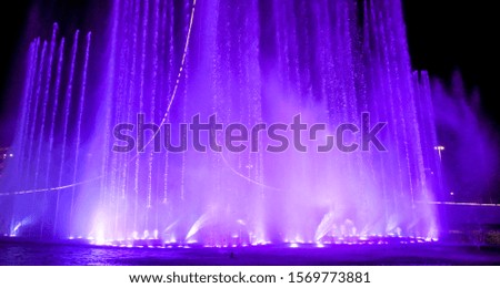 Dancing fountain in the park. Splashing water
