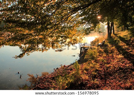 Autumn scene in sunrise