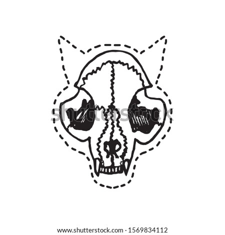 Cat skull, hand drawn doodle, sketch in gravure style, vector illustration