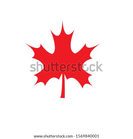 Stylized Auntumn Maple Leaf Foliage Logo Stock Vector