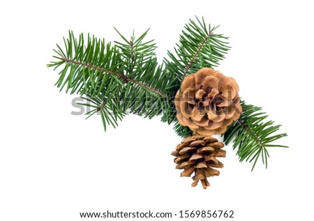 Closeup of pine cone decoration on white background for design. Winter holiday design element. Happy new year concept