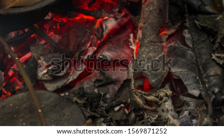 Flames and smoke from burning leaves. Leaf burning is bad for the environment
