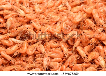Tasty fresh shrimps as background.