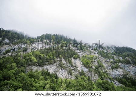 mountain rocks and green trees in fog