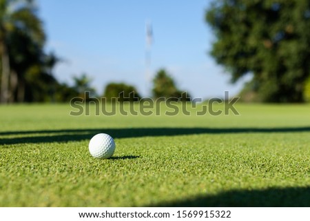 Close Up of Golf Ball on the lawn.