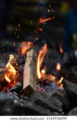 burning bonfire in the woods 