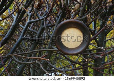 small round wooden frame on a background of bare branches. creative horizontal background.