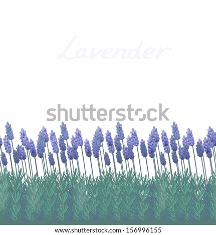 Lavender field - seamless border pattern