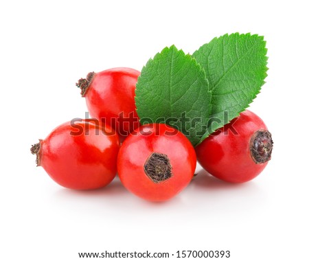 Rosehip with leaves isolated on a white background Royalty-Free Stock Photo #1570000393