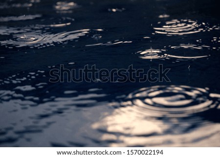 Rain droplet on pool water surface