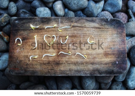 Sprouts on the wood to form the words 'I love you' - image