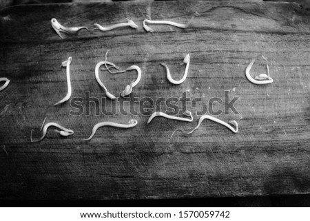 Silhouette sprouts on the wood to form the words 'I love you' - image