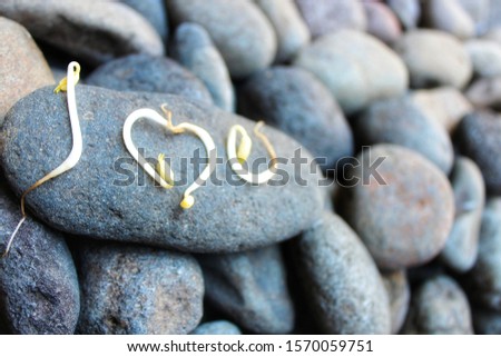 Sprouts on a small rock forming the words 'I love you' - image