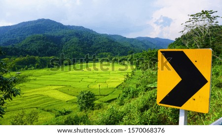 view of the rice paddy fields with Chevron Sign in Thailand