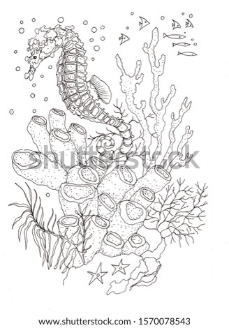 Seahorse, coral reef, algae. Coloring book for children. Graphic hand-drawn illustration. Print, textiles. Vintage, retro. Sea, ocean, wildlife. Ink, engraving.