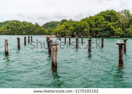 Los Haitises National Park.Mangroves,a rich tropical forest, multicolored tropical birds and manatees. The coast is dotted with small islets where frigates and pelicans nest.Samana,Dominican Republic.