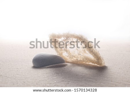 stone and dry sponge on the sand with copy space for your text