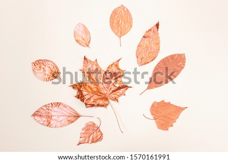 Maple, birch and other leaves are painted with bronze paint. Light background. Stylish concept, minimalism, flat lay, top view.