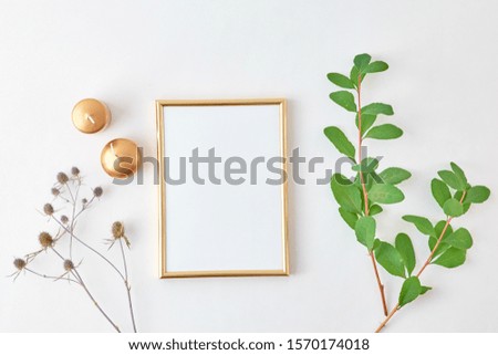 Flat lay composition with golden frame and branches with green leaves on a light background