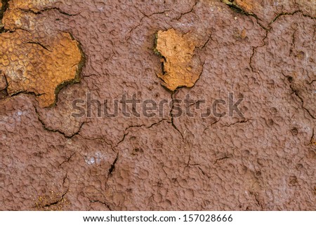 Dry and cracked earth texture