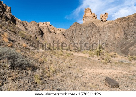Road through gorge and valley of stones.
Charyn canyon. Kazakhstan
