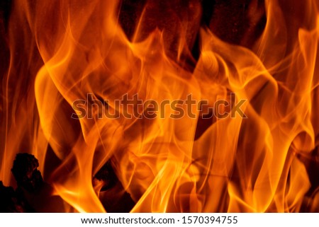 Close up of bright colored dancing flames