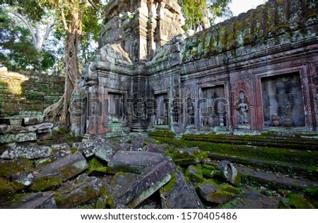 Ruins of Ta Prohm temple, Angkor, Siem Reap, Cambodia