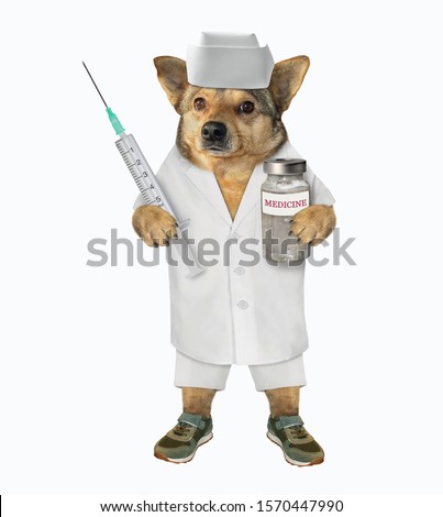 The dog vet doctor in a medical clothing holds a syringe and a bottle of medicine. White background. Isolated.