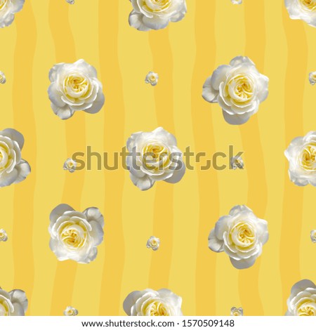 White roses seamless pattern on yellow background.