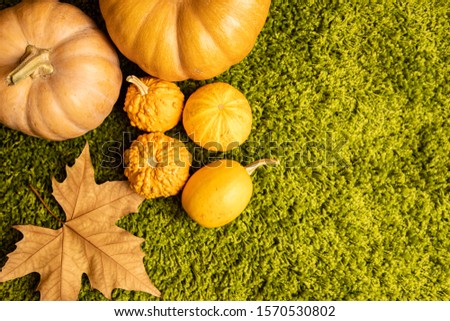 autumn center background with orange tones