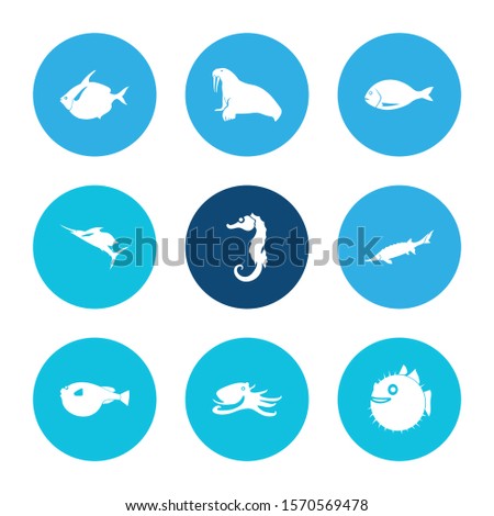Seafood icon set and walrus with fugu fish, seafood and octopus. Swordfish related seafood icon vector for web UI logo design.