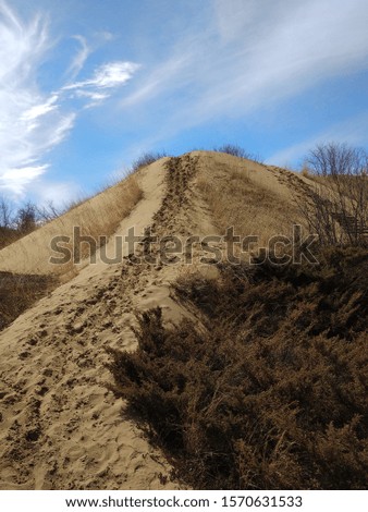 Sandy hills in the desert area of Spruce Woods provincial park in Manitoba, Canada. Picture was taken in spring