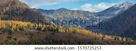 Mountains covered with forest, snow on the peaks. Autumn panoramic view.