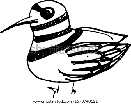 Ink hand drawn bird sketch. Vector outline illusytation