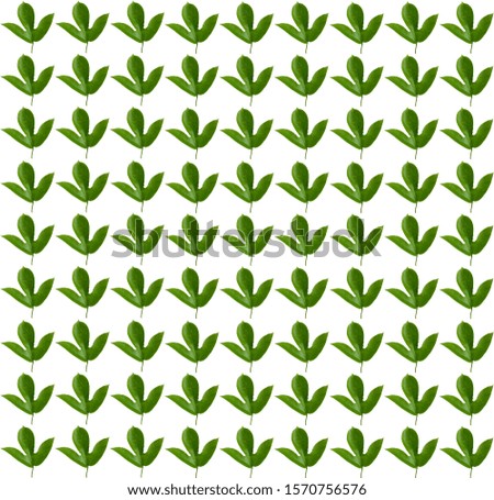 Seamless green passion fruit leaves pattern,background for wallpaper ,card,gift wrap paper, backdrop or advertisement cutout
