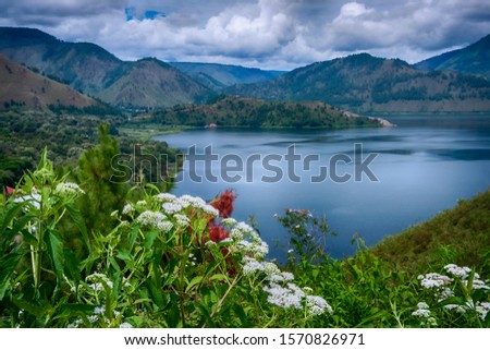 the grainy of the beautiful Lake Toba view from Bukit Holbung and Janji Martahan , another spot and other side of Lake Toba, North Sumatera , Indonesia Royalty-Free Stock Photo #1570826971