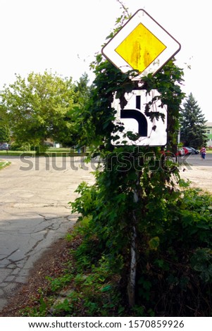 Overgrown road sign with weeds