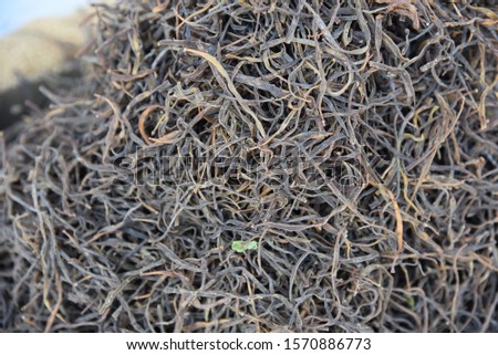 close up view of heap of desert beans (dried sangri) in the market for sale 