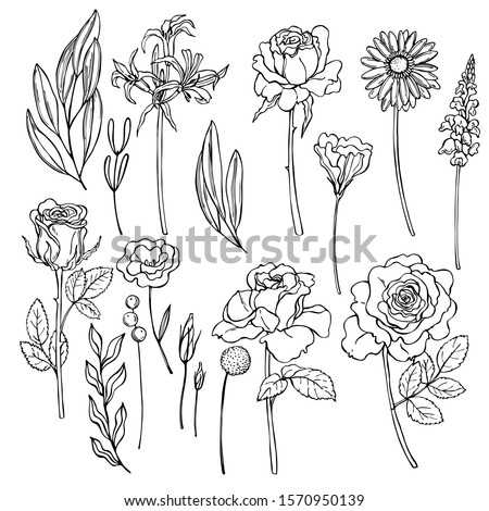 Hand drawn flowers on white background. Roses, gerbera, eustoma. Vector sketch  illustration.