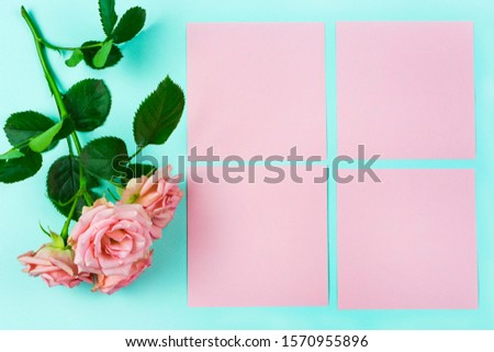 Frame of paper for notes. Bushy pink rose and writing paper on a light blue background. Space for text. Happy birthday. Valentine's day. The concept of the celebration.