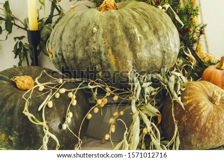 Beautiful autumn table decor with green pumpkin