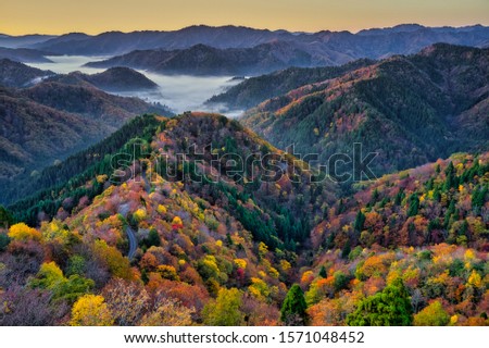 TAKASHIMA-CITY Stock Photos and Images - Avopix.com